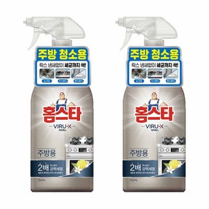 홈스타 바이럭스 세정제 주방용, 750ml, 2개