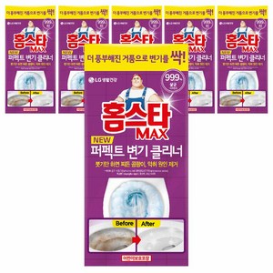 홈스타 맥스 퍼펙트 변기 클리너, 540ml, 6개