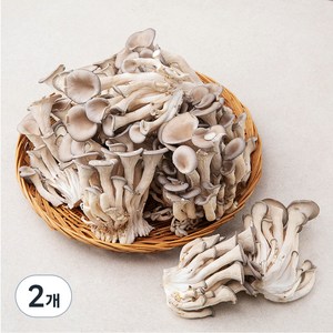 국내산 무농약 느타리버섯, 1kg, 2개