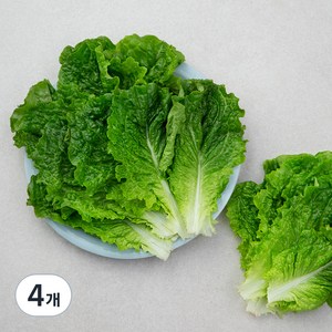 국내산 GAP 청상추, 150g, 4개