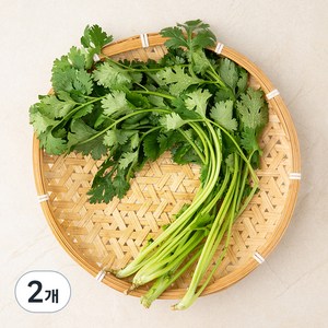 국내산 유기농 고수, 30g, 2개