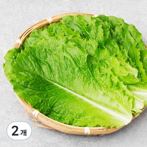 친환경 로메인, 70g, 2개