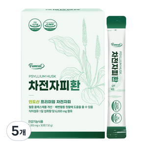 퍼니트 차전자피환 30p, 150g, 5개