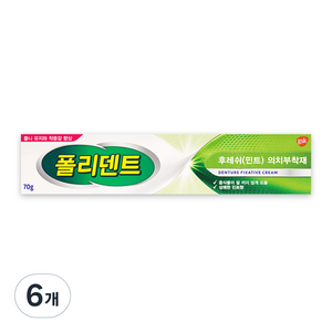 폴리덴트 후레쉬 민트 의치 부착재 70g, 1개입, 6개