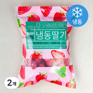 딜라잇가든 국산 딸기 (냉동), 1kg, 2개