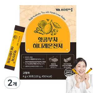 비타민마을 허니레몬진저 핫 콤부차, 4g, 30개입, 2개