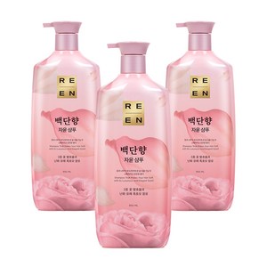 리엔 자윤 백단향 샴푸 프루티 피오니 향, 950ml, 3개