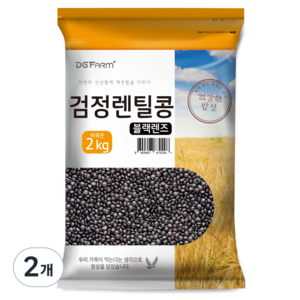 대구농산 검정렌틸콩 블랙렌즈, 2kg, 2개