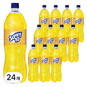 써니텐 파인애플향, 1.5L, 24개