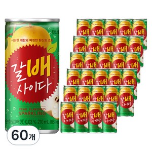 갈배사이다, 210ml, 60개