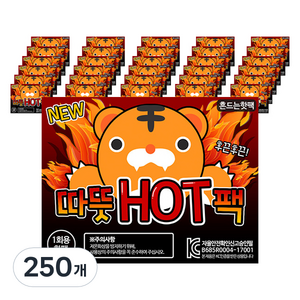 포켓형 흔드는 따뜻핫팩 48.9g, 250개