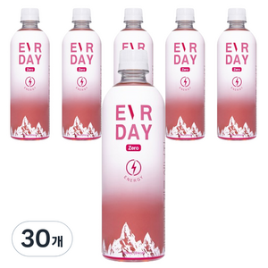 에버데이 제로 에너지 음료, 500ml, 30개