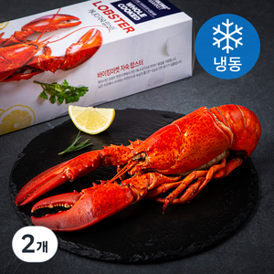 바이킹마켓 캐나다산 자숙 랍스터 (냉동), 450g 내외, 2개