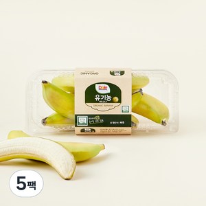 돌 유기농 바나나, 500g, 5개