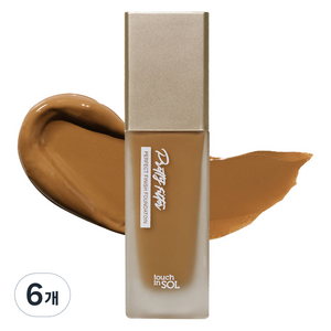 터치인솔 프리티필터 퍼펙트 피니시 파운데이션 35g, 6개, 5호 딥