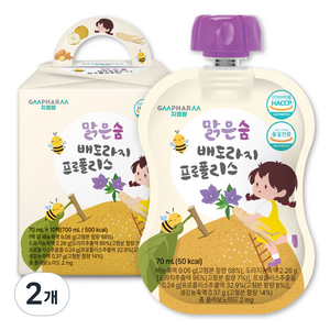 지엠팜 유아용 맑은숨 배도라지 프로폴리스 음료 10p, 2개, 700ml