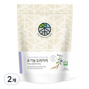 평창다원 유기농 도라지차 생분해 티백, 1.5g, 20개입, 2개, 1.5g