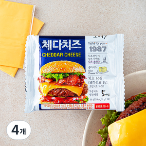 동원 소와나무 체다치즈 5매입, 100g, 4개