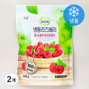 뉴뜨레 냉동라즈베리 (냉동), 500g, 2개