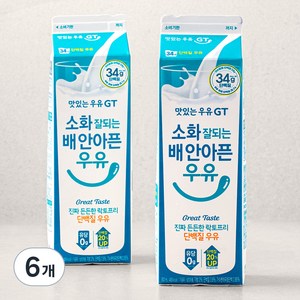 맛있는우유GT 소화 잘되는 배 안아픈 단백질 우유, 900ml, 6입