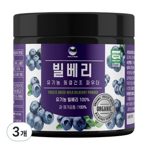 해나식품 유기농 동결건조 빌베리 분말, 3개, 100g