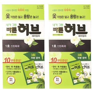 광동제약 내가 그린 빠른 허브 파우치 염모제, 1호 진한흑색, 2개