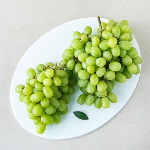 곰곰 호주산 씨없는 청포도, 1개, 1.2kg