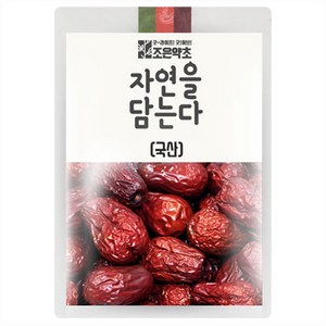 조은약초 자연을 담는다 대추, 700g, 1개