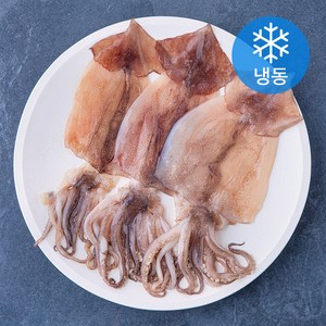 바다온 포항시 인증 구룡포 원양산 반건오징어 3미 (냉동), 300g (3미), 1개