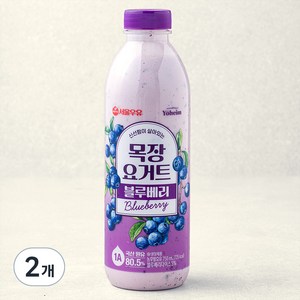 서울우유 신선함이 살아있는 목장 요거트 블루베리, 750ml, 2개