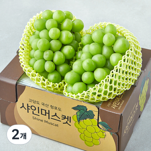 한들 당도선별 샤인머스캣, 2개, 1.5kg