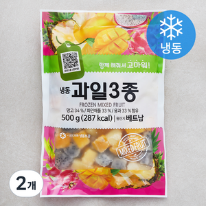 재호식품 과일 3종 망고 / 파인애플 / 용과 (냉동), 2개, 500g