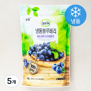 뉴뜨레 냉동 블루베리 (냉동), 1kg, 5개