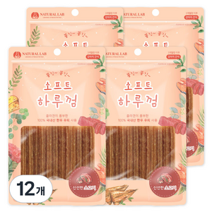 내츄럴랩 소프트 하루껌 반려견 간식, 소고기 맛, 85g, 12개