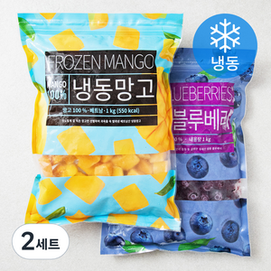 딜라잇가든 칠레산 블루베리 1kg + 망고 다이스 1kg 세트 (냉동), 2세트