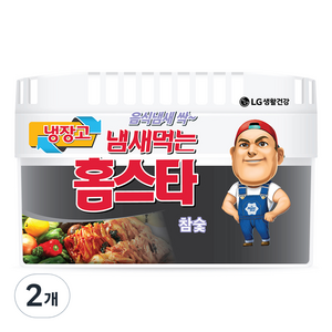 홈스타 냄새먹는 냉장고용 참숯 냉장고 탈취제 본품, 420g, 2개