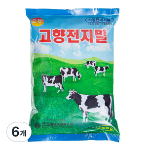 고향 차, 1kg, 6개