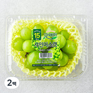 굿데이 당도선별 15brix 비파괴 샤인머스캣, 500g, 2팩