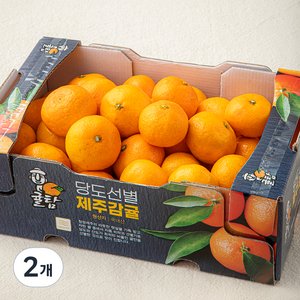 귤탐 당도선별 12bix 감귤, 2kg(소과), 2개