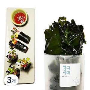 우진수산 염장 쌈다시마, 3개, 1kg