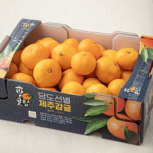 귤탐 당도선별 11brix 감귤, 2kg(소과), 1개