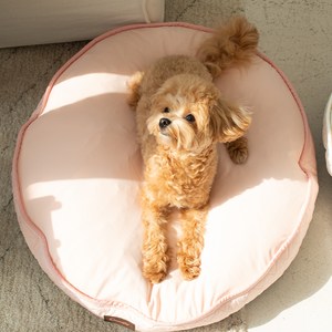 초코펫하우스 강아지 무중력 우주 방석 2, 핑크, 1개
