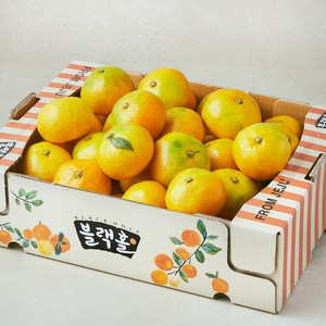 블랙홀 10bix 못난이 감귤, 1박스, 3kg(랜덤과)