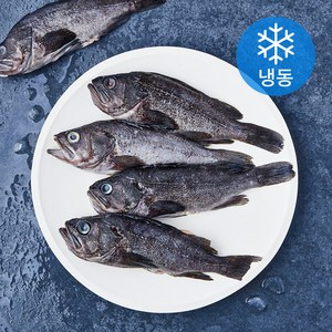 통영원 국내산 손질 우럭 (냉동), 1개, 700g(5미)