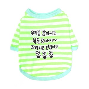 블랭크도그 반려동물 복슬강아지 티셔츠, GREEN, 1개