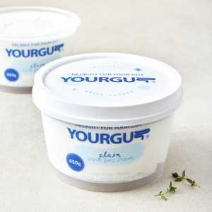 유얼거트 플레인 그릭요거트, 450g, 1개