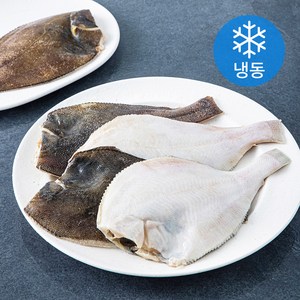 고고새우 두툼한 손질 두절 가자미 (냉동), 1kg(대), 1개