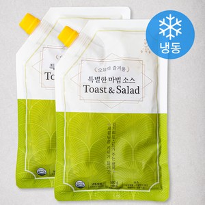 오늘의즐거움 특별한 마법 토스트 앤 샐러드 소스 (냉동), 500g, 2개