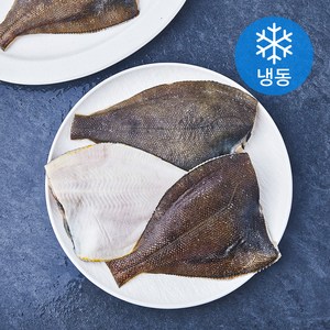 두툼한 손질가자미 (냉동), 1개, 1kg