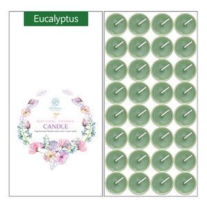 올레비엔 향티라이트 15g x 32p, 유칼립투스, 480g, 1개